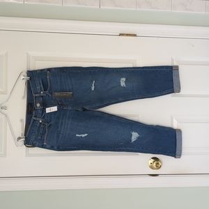 Banana Republic Low Rise Girlfriend Jean Size 27 Petite NWT